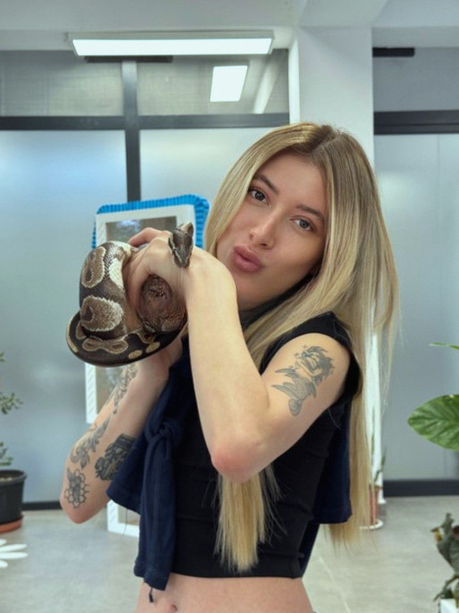 Lisamola